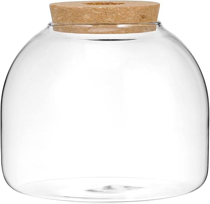 Milisten Glass Terrarium Jar with Cork Lid, 5.9×5.3 in Desktop Hydroponic Plant Container, Air Plant Propagation Vase for Home Office Decor & Miniature Garden Display