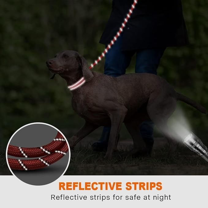 Taglory Rope Dog Leash 4 FT with Comfortable Padded Handle, Highly Reflective Threads Leash and Anti-Tangle Clip for Walking Medium Large Dogs, 1/2 inch, Red