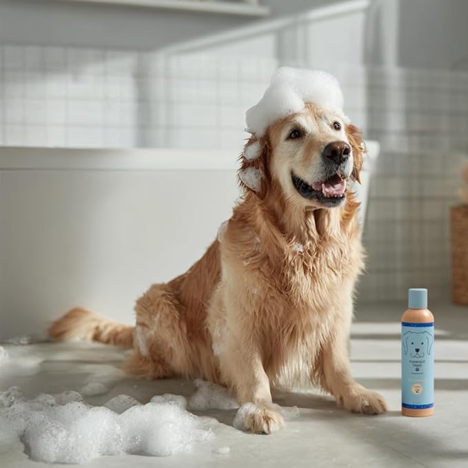 Pet Shampoo for Dogs & Cats – Oatmeal & Vitamin E for Sensitive, Itchy Skin – Gentle, Vegan, Cruelty-Free, Sulfate-Free, Paraben-Free – Fresh Rain & Wild Violet Scent – Made in USA by Purrfect Paws