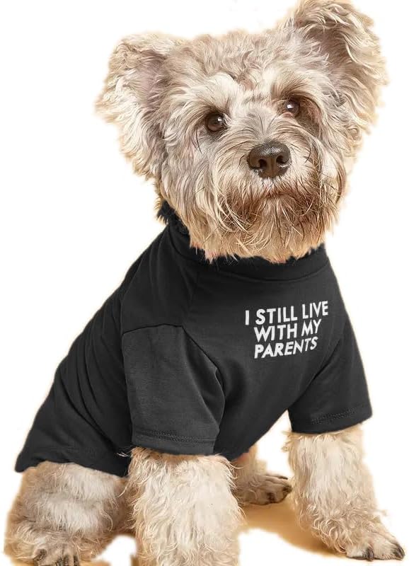 Cute Dog Clothes, T Shirt for Medium and Small Dogs Girl Boy,Puppy.Breathable Soft Dog Costume for Pet Dogs Cats, Pet Pullover Jumper, Cat Clothes (M-(7~11lb),Chest~16",Black,Parents)