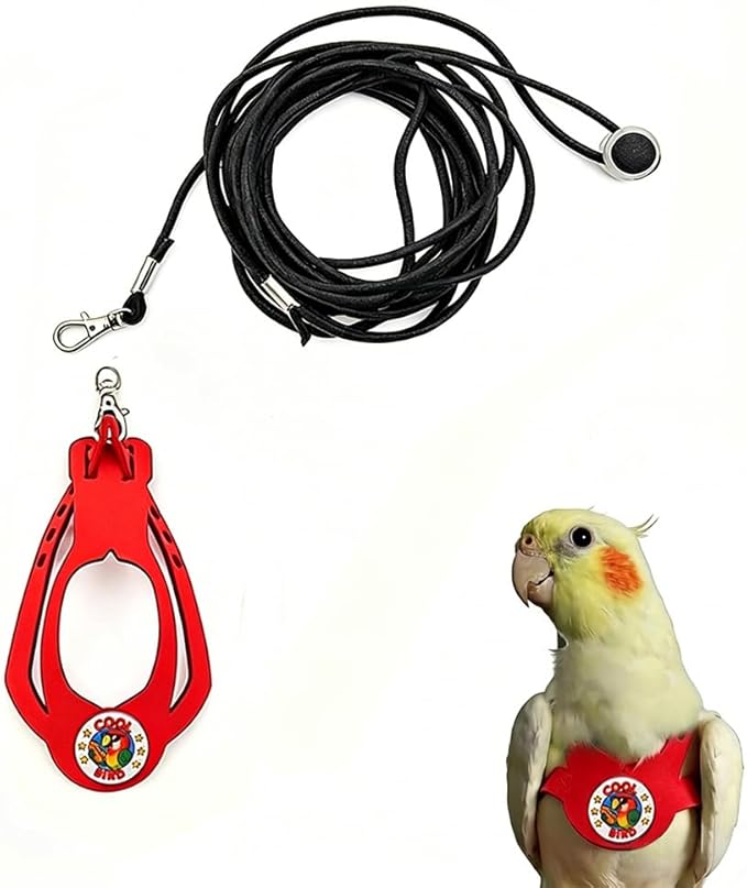 Adjustable Bird Harness & Leash Set for Small Birds,FitsBudgie,Parakeets, Conures, Cockatiels,Green Cheek,Quaker Parrots(Red, M) Z6350-3