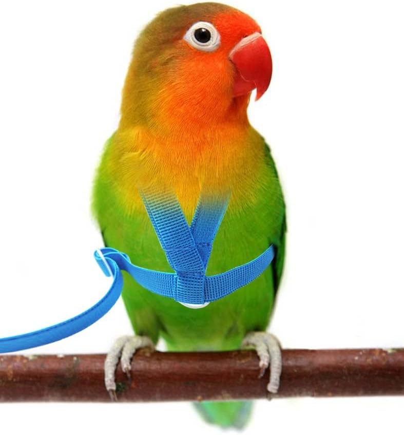 Pet Parrot Bird Harness Leash Adjustable Bird Flying Harness Traction Rope with Cute Wing for Parrots Pigeons Budgerigar Lovebird Cockatiel Mynah Outdoor Training Toy (Blue,XS)