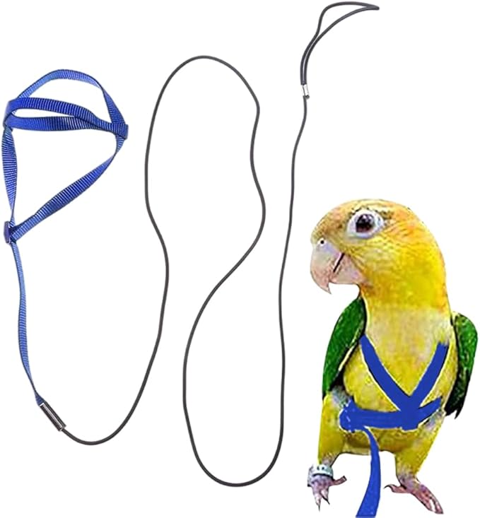 Adjustable Bird Harness and Leash,Anti-Escape Durable Nylon Parrot Harness, Flying Training Rope Parrot Leash for Small Medium Large Breed Parrots Fits Chest Under 20'', Blue M