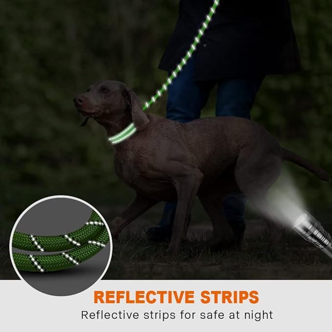 Taglory Rope Dog Leash 5 FT with Comfortable Padded Handle, Highly Reflective Threads Leash and Anti-Tangle Clip for Walking Medium Large Dogs, 1/2 inch, Green