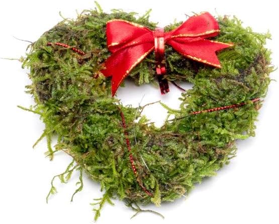 Live Aquarium Plants on Driftwood, Lava Rock, Moss, Fiber Mat - Freshwater Fish Tanks - Easy, Beginner Friendly (Heart Shaped Christmas Moss Wreath)