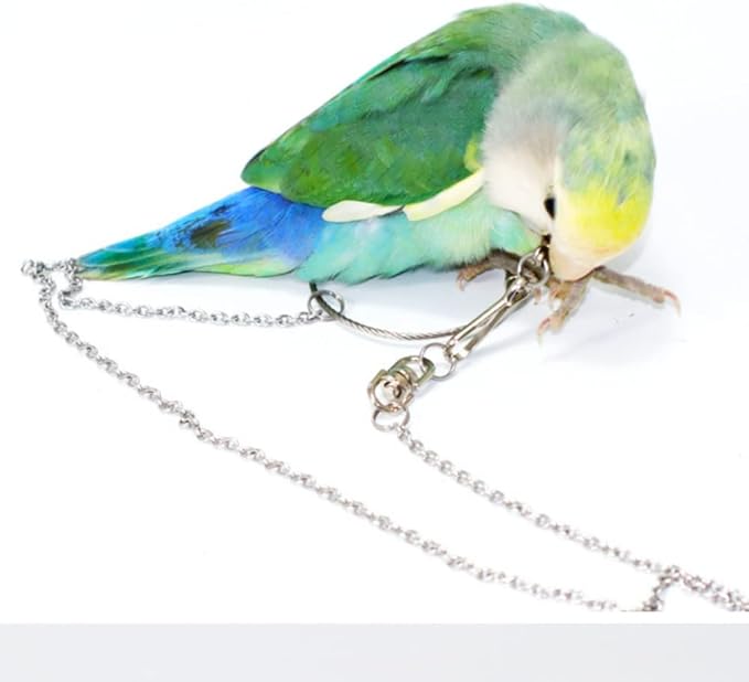 Bird Foot Chain Flying Stainless Steel Training Rope Outdoor Parrot Ankle Foot Ring Accessories Bird Harness Leash Prevent Escaping (6#)