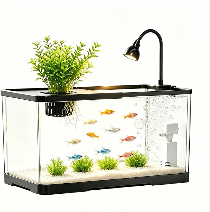 2 Gallon Hydroponic Fish Tank, Small Desktop Aquarium Kit | Compact hydroponic desktop aquarium with quiet filter pump & LED light. Ideal for betta fish, shrimp & home office decor.