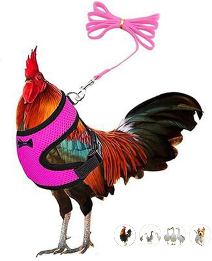 Chicken Harness and Leash Set Adjustable Mesh Breathable Duck Training Harness Pets Leashs for Goose Hen Rooster Parrots Dog Kitten, Pink M