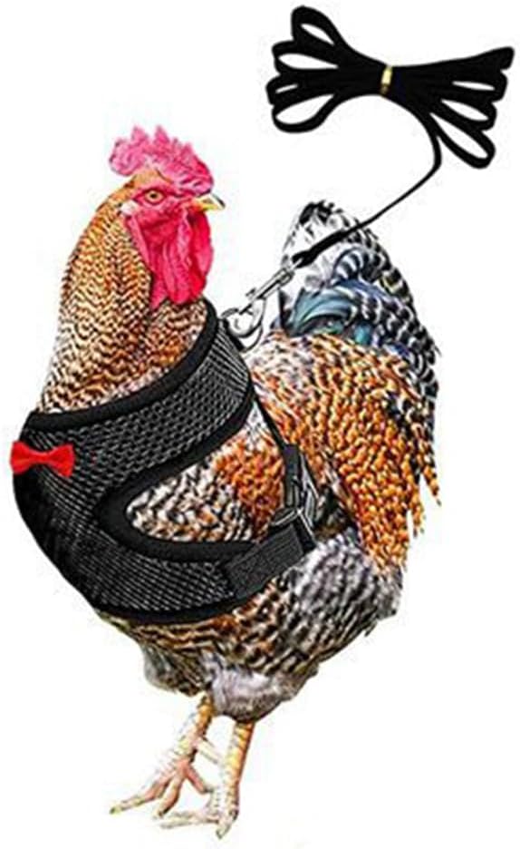 Chicken Harness and Leash Set Adjustable Mesh Breathable Duck Training Harness Pets Leashs for Goose Hen Rooster Parrots Dog Kitten, Black L