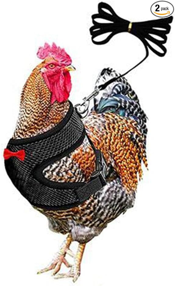Chicken Harness and Leash Set Adjustable Mesh Breathable Duck Training Harness Pets Leashs for Goose Hen Rooster Parrots Dog Kitten, Black S