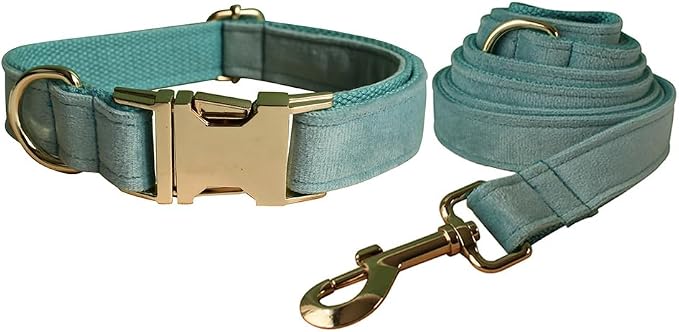 Love Dream Velvet Dog Collar and Leash Set, Soft & Comfy Adjustable Dog Leash and Collar with Heavy Duty Metal Buckle for Small Medium Large Dogs Training & Walking (Large, Light Green)