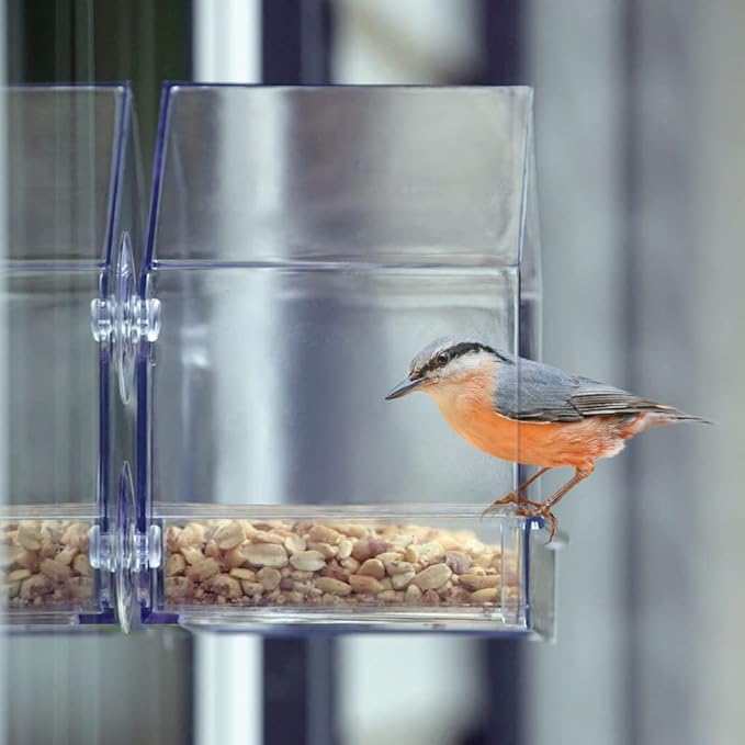Nature's Way Win-3 Clear View Window Bird Feeder with Strong Suction Cups, Transparent Outdoor Wild Bird Seed Feeder and Décor, 2 Cup Capacity, Clear, 6.5"