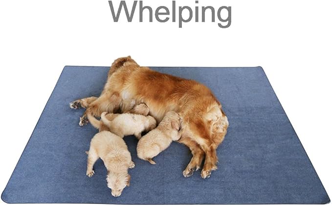 Peepeego Non-Slip Dog Pad 65 x 48, Washable Pee Pad with Fast Absorbent, Waterproof for Training, Whelping