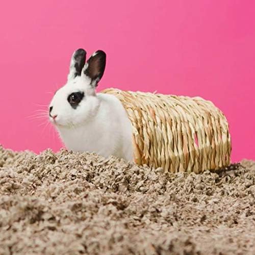 Carefresh 99% Dust-Free Natural Paper Small Pet Bedding with Odor Control, 14 L (Pack of 2)