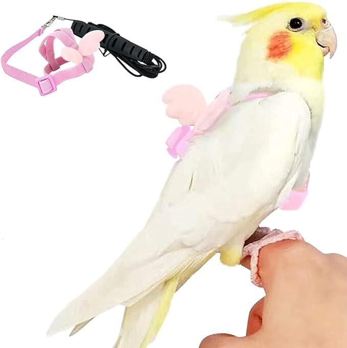 Birds Adjustable Harness and Leash, Parrot Outdoor Flying Training Traction Rope Straps with Cute Wing for Small Animal, Parrots, Pigeons, Bird Flight Vest, Pet Training Leash(Pink,M)