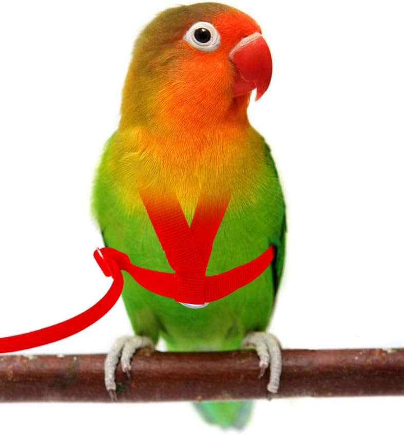 VANFAVORI Adjustable Bird Harness with 80 Inch Leash, XS Size for Peony Parrot Love Bird Weight 45-65 Grams with Outdoor Flying Training Rope, Red