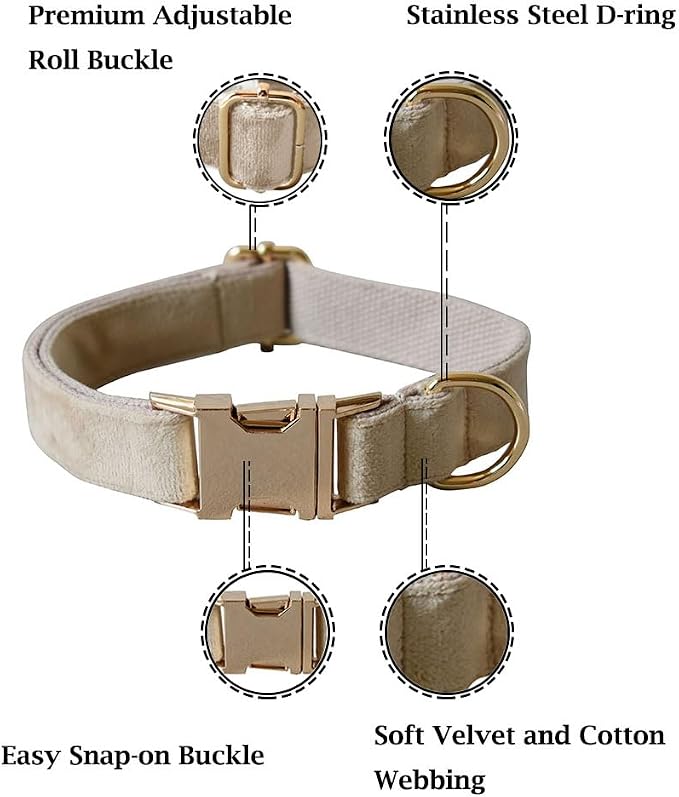 Velvet Dog Collar and Leash Set with Quick Release Metal Buckle | Bright & Stylish Leash and Collar Set, Soft Heavy Duty Pet Collars Adjustable for Samll Medium Large Dogs or Cats