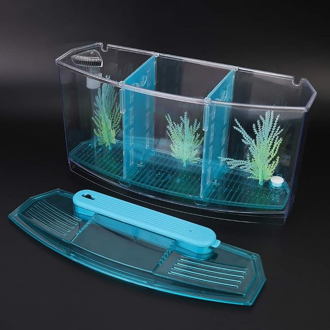 Aquarium Tank, Three Divisions LED Acrylic Fish Tank, Desktop Aquarium | Portable Fish Tank | Travel Fish Tank | Cool Fish Tank | Breeding Isolation Box Fishtank for Baby Fish