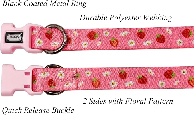 Dog Collar Leash Set, Floral Pattern, Polyester Material, Adjustable Collar and 5ft Matchcing Leash, for Medium Dogs.(M,Daisy and Strawberry)