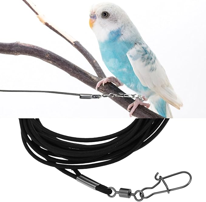 Bird Harness Flying Training Rope 3M for Parrots Pigeons and Budgerigars with 4# Ring (Black)