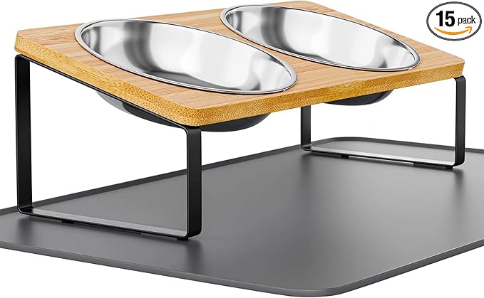 Elevated Whisker Friendly Cat Bowls, 15 Tilted Stand Anti Vomiting Raised Dishes for Food and Water, Stainless Steel Bowls for Cats and Puppy