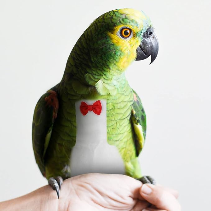 Generic Bird Diaper for Parrots Breathable Costume for Cockatiels Pigeons and Parakeets Washable Reusable Nappy Clothes for Birds
