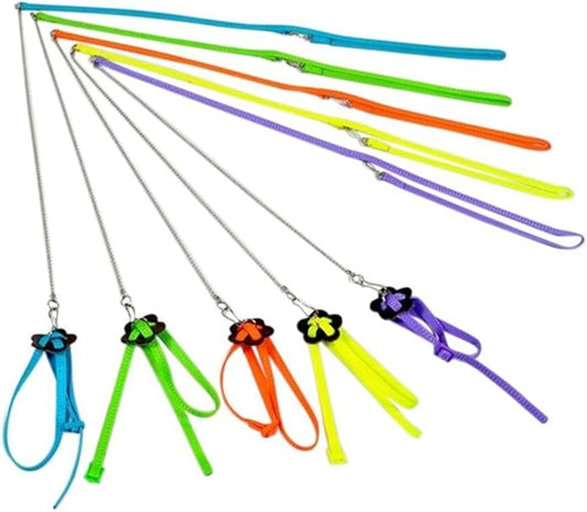 Hypeety Beauty Parrot Adjustable Bird Harness and Leash Outdoor Flying Anti-bite for Bird Parrot African Grey Cockatoo Macaw Ringneck Parakeet Cockatiel Small Size Birds