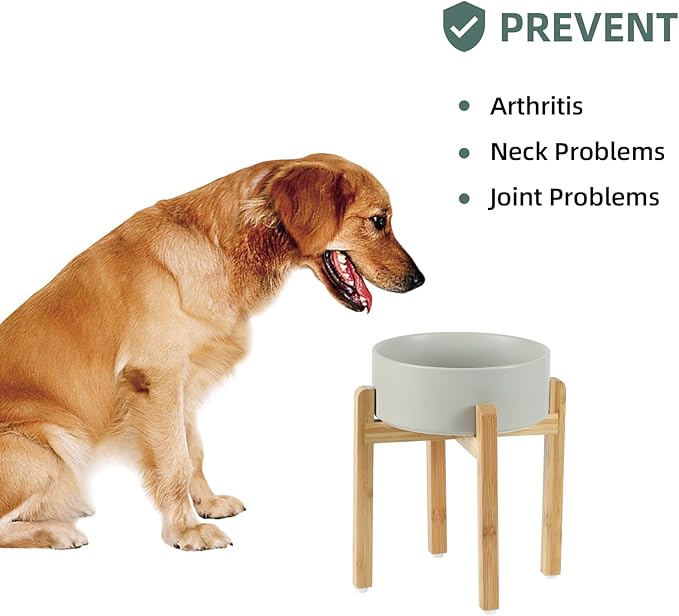 Havniva Ceramic 8.2inch Raised Dog Bowl Set, Elevated Feeder with Stand, Food and Water Bowl for Large Breed Dogs, Weighted Pet Dish(60oz, Grey)