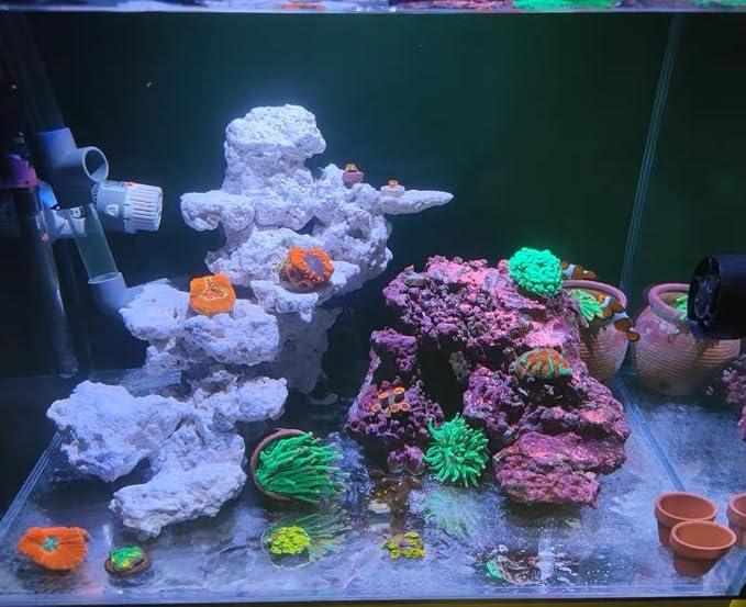 YZHZOM Dry Base Rock for Aquarium White Coral Ornament Sea Base Rocks for Aquarium Aquascaping (7lb,Mix Size & Shape)