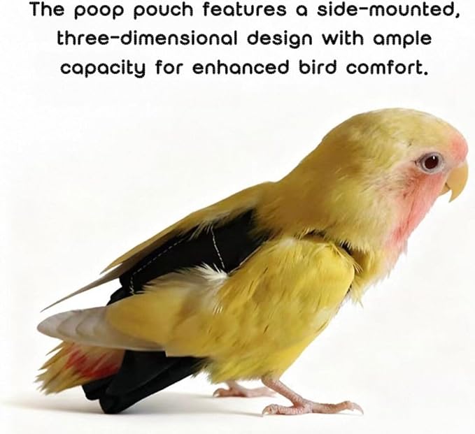 Bird Diaper Flight Suit, Cute Cosplay Parrot Clothes, Easy-to-Wear Washable Nappy, Durable Metal Ring Harness for Cockatiel, Conure, African Grey, Parakeet Outdoor Flying (with Leash,XXL)