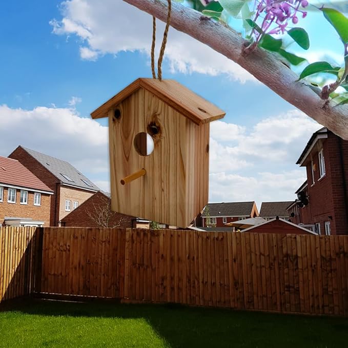 See Through Window Birdh Ouse - Wooden, Large Suction Cups, Hanging Lanyard Rope Bird House - Spy Window Bird Nest Box - Outdoor Bird Watching, Backyard Bird Shelter