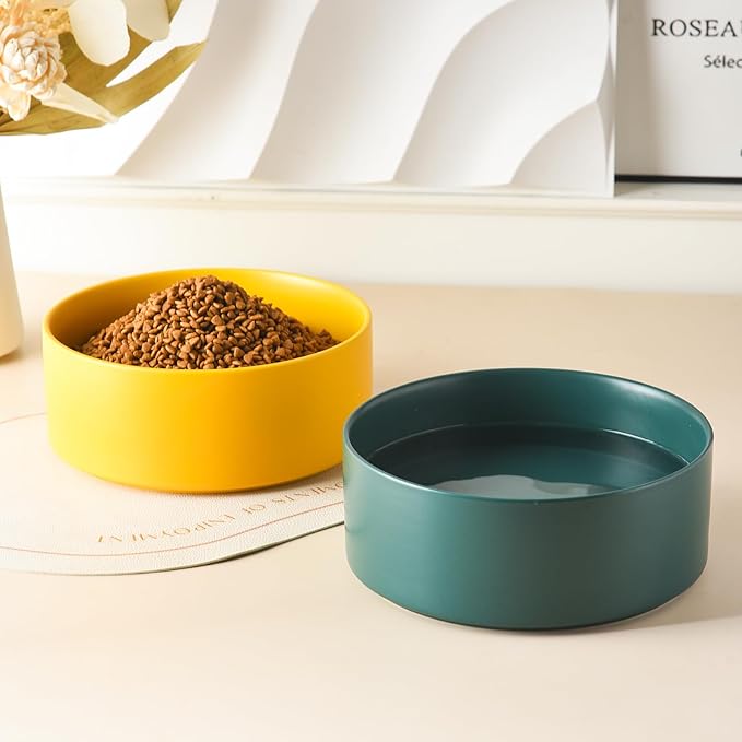 Ceramic Set of 2 Dog Bowls - Classic Dogs Food & Water Bowl for Small and Medium Breed, Heavy-Duty Non-Slip Dog Dishes, Food Grade Pet Bowl, Dishwasher & Microwave Safe (6'', 2*30OZ, Green)
