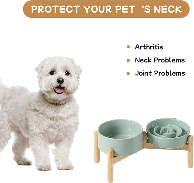 Havniva Ceramic 0.9 Cup Raised Slow Feeder Dog Bowl Set, Elevated 6.1inch Water Bowl and 6.1inch Slow Dish with Wooden Stand for Small Dogs(2 x Light Green+ Stand)