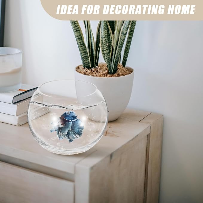 Baluue Round Glass Fish Bowl 5.90 in Clear Bubble Bowl for Fish Plants Flowers Shells and Crafts Compact Desktop for Home Office Shop Decor Centerpieces Terrarium