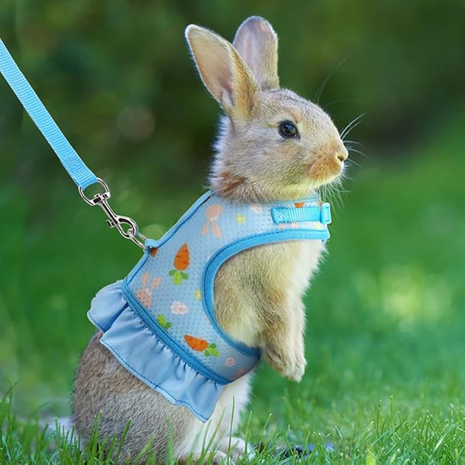 Breathable Small Animal Harness Leash & Hat Set - Adjustable Closure, 3 Colors - Escape-Proof Vest for Bunny, Chinchilla, Guinea Pig, Hamster for All Seasons