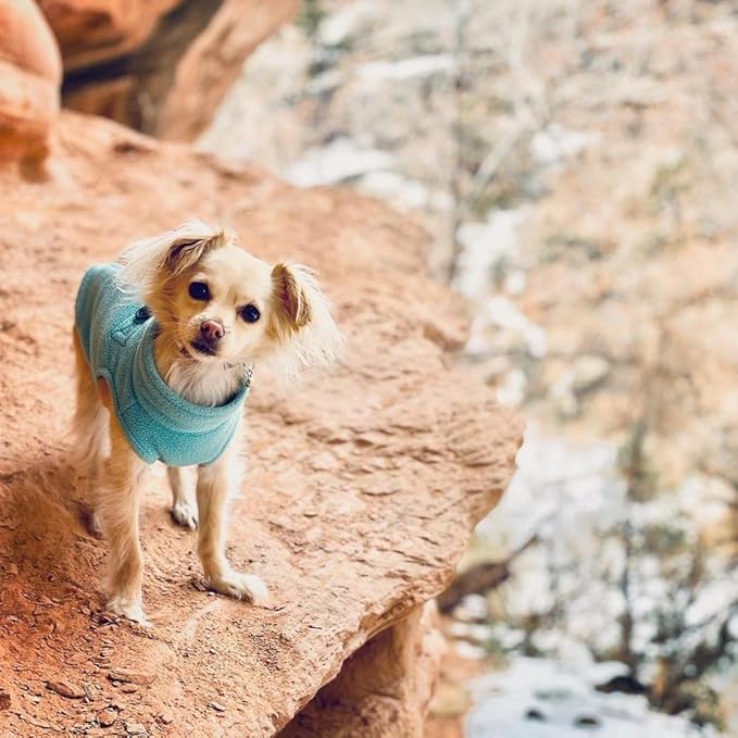 Gooby Zip Up Fleece Dog Sweater - Turquoise, Small - Warm Pullover Fleece Step-in Dog Jacket with Dual D Ring Leash for Small to Medium Dogs