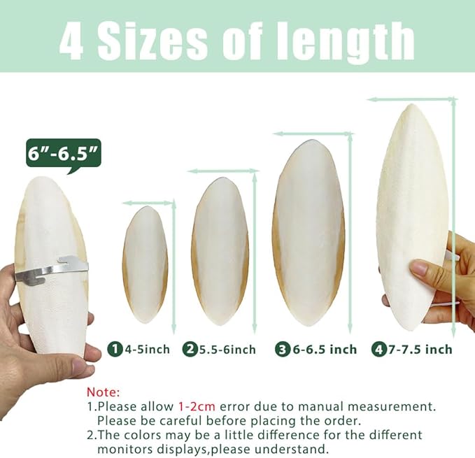 Natural Cuttlebone for Birds Parakeets Canaries Cockatiels Small Conures Mynahs Toucans African Greys All Parrots Snails Totoise, with Holder for Bird Cage (4-5 inch,2PCS)
