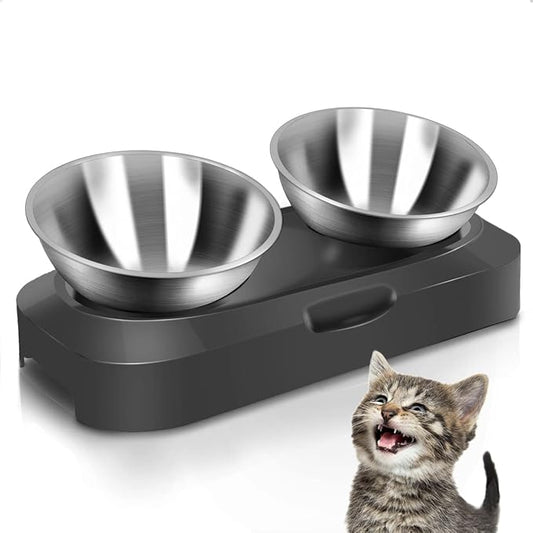 AYADA Raised Cat Food Bowl, Stainless Steel Cat Dish for Dry Wet Food Water, Anti Vomiting Elevated with Stand Ergonomic Lifted Slanted Tilted 15 Angle Metal Single Kitty Kitten Pet Bowl (Double)
