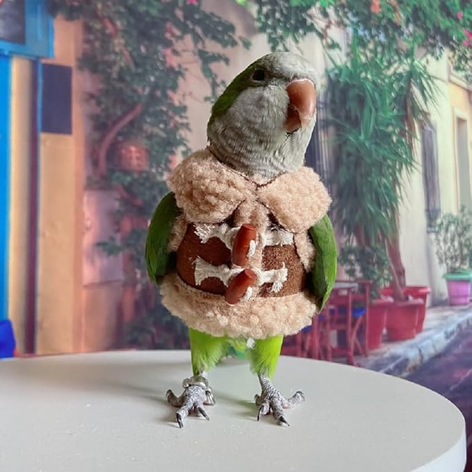 Bird Diaper Flight Suit Parrot Costume pet Animal Costume, Applicable to Birds and Parrots Warm Supplies. (XL)