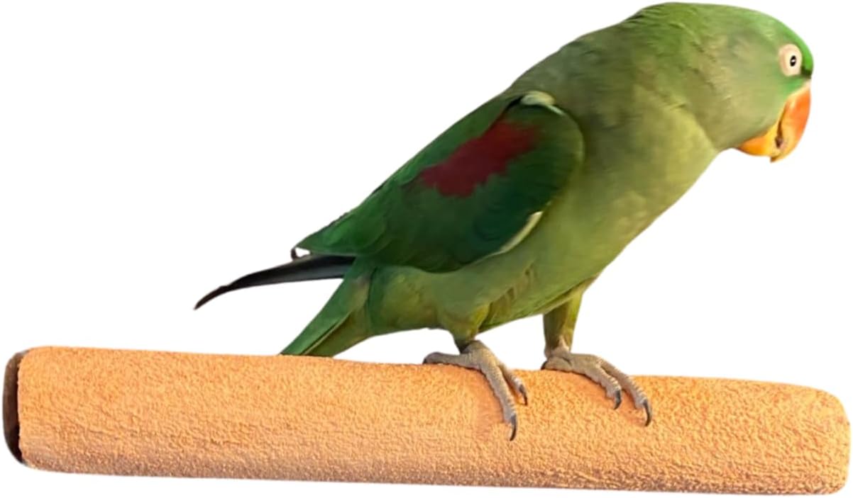 Polly's Pastels Nail Trimming & Beak Conditioning Safety Perch for Cockatiels, Cockatoos, Macaws, Parakeets, Budgies, Parrots and All Other Birds (Coral, Large Long-1 1/2" Dia. x 14" Long)