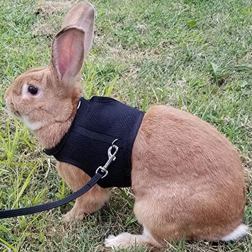 PETTOM Bunny Rabbit Harness with Stretchy Leash Cute Adjustable Buckle Breathable Mesh Vest for Kitten Small Pets Walking (Black,L)