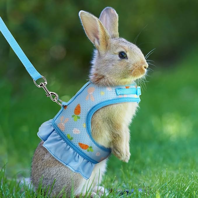 Rabbit Harness and Leash Set, Bunny Vest Guinea Pig Clothes Ferret Rats Hamster Soft Mesh Cute Carrot Pattern for Chinchilla Small Animals Pet Kitten Puppy Blue S