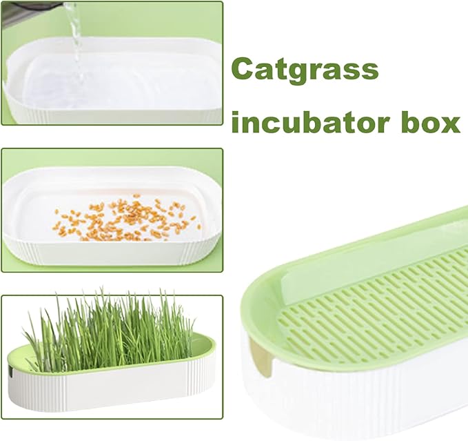 Cat Grass Planter, 8.2inch Self Watering Cat Grass Planting Container, Hydroponic Cat Grass Growing Kit, Cat Grass Sprouting Trays for Sprouts