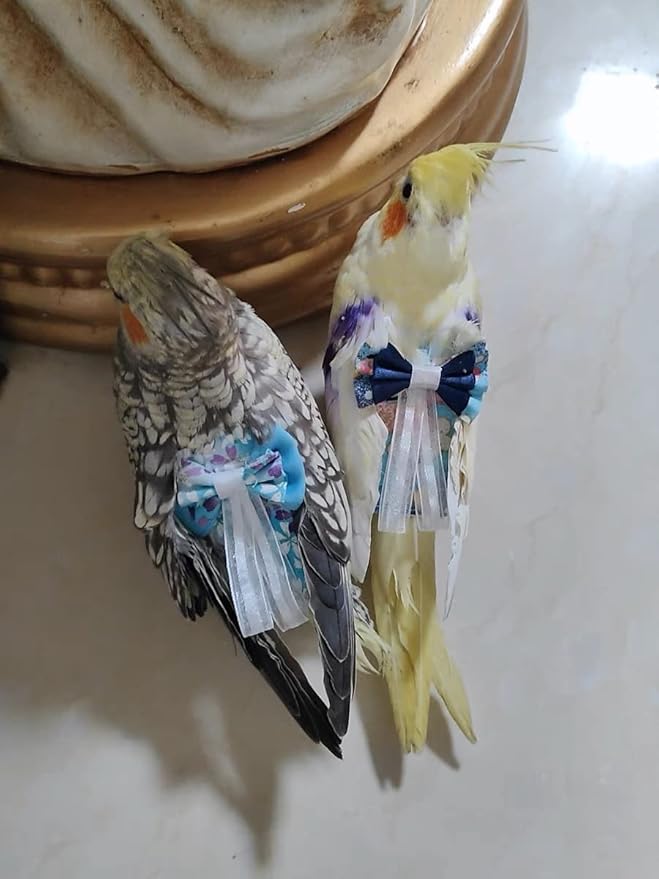 Bird Flight Suits Diapers, Parrot Diapers for Monk Parakeets, Cockatiels, Parrot Clothes Costume, Bird Training Nappy Suit Liners Clothes (Medium,Blue-C)