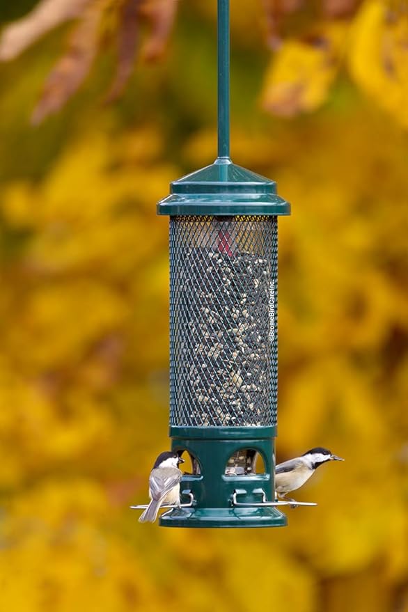 Squirrel Buster Legacy Squirrel-Proof Bird Feeder for Wild Birds – 4 Metal Removable Perches, 2.6 lb Seed Capacity, Chew-Proof Design, Easy to Clean, Green