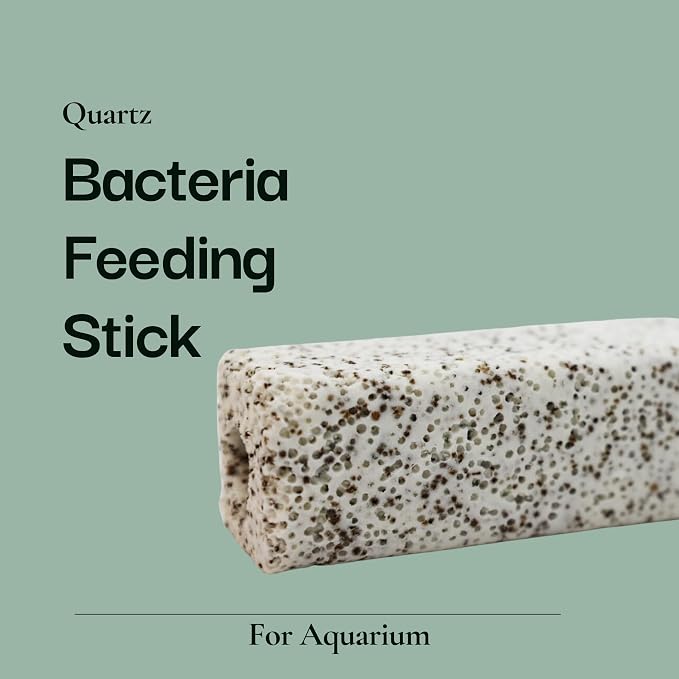 20 Pieces of Quartz Ceramic Bacteria House for Fish Tank and Pond to Feed Nitrifying Bacteria for Better Water Quality