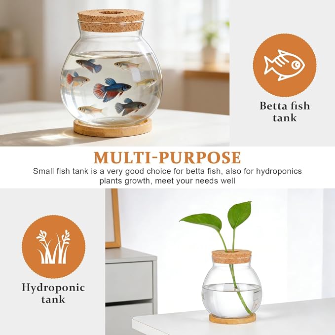 BESTOYARD Desktop Fish Bowl Hydroponic Terrarium Small Glass Fish Tank with Bamboo Cushion Betta Bowl for Desk Table Shelf Plant Display Home Office Party Decor