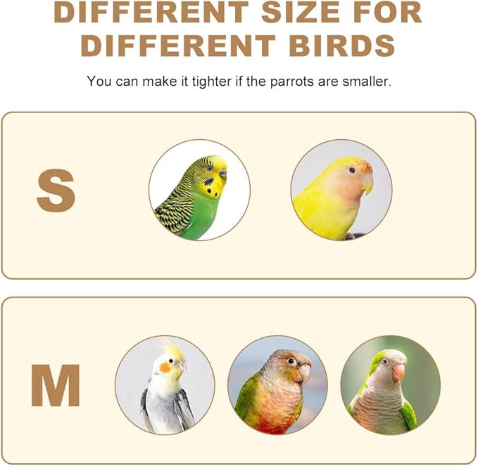 Parrot Bird Harness Leash with Cute Wing, Flying Harness Traction Rope for Budgerigar Lovebird, Outdoor Training Toy (Middle Brown)