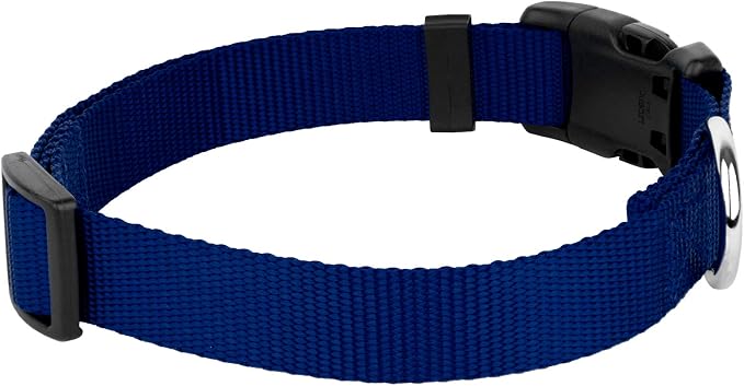 Country Brook Petz - Everyday Nylon Dog Collar and Leash - 10+ Cool Colors (3/8 Inch, Extra Small, Royal Blue)