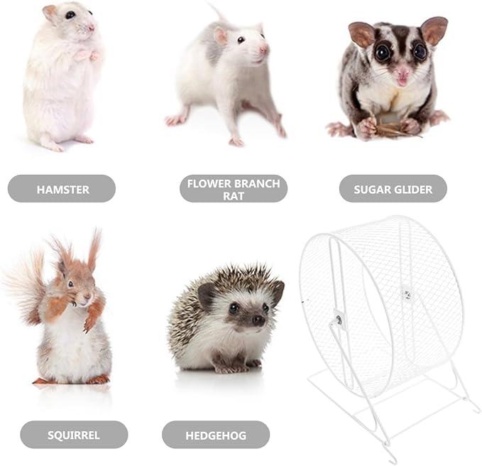ibasenice Silent Hamster Wheel 9.25In Metal Small Animal Exercise Wheel Quiet Running Toy for Hamsters Gerbils Mice with Textured Surface for Nail Care